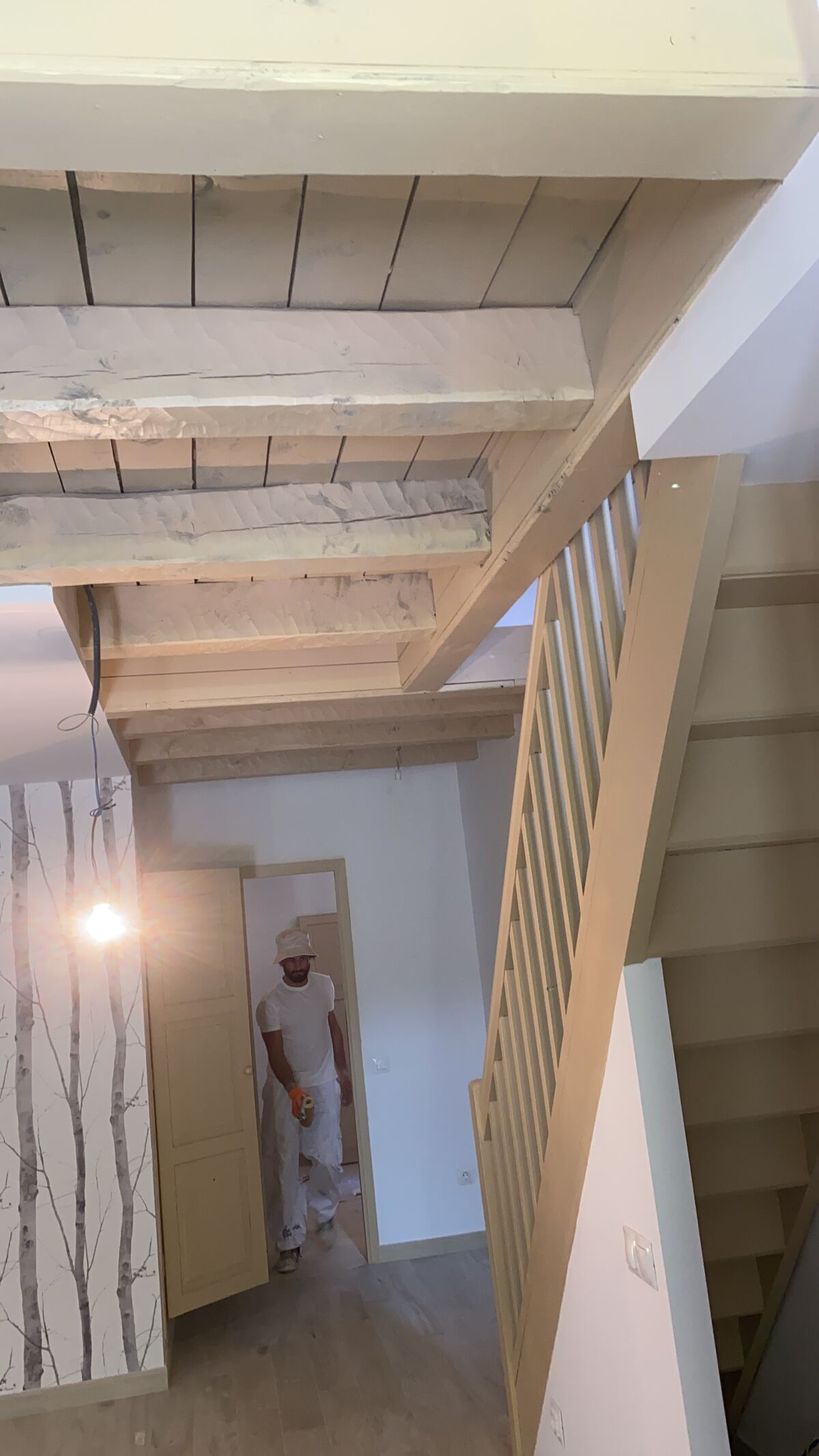 Reforma rústica — Pirineos — foto 3 del proceso