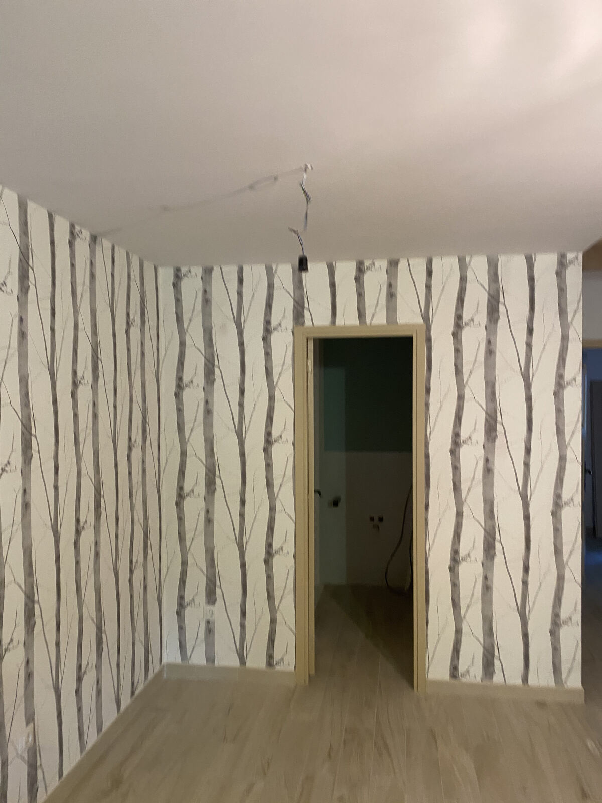 Reforma rústica — Pirineos — foto 5 del proceso